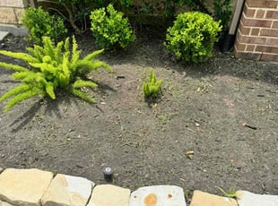 Weeding by Edwin Fernandez for Clay K. in Katy, TX