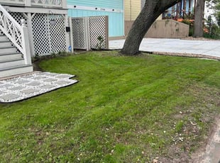 Mark M.'s Lawn Service service result