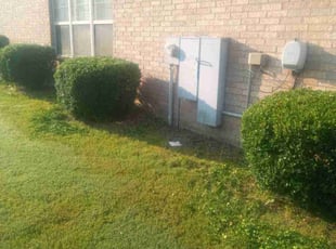 Bush Trimming by Karushoun Kelly for Willie S. in Jacksonville, AR