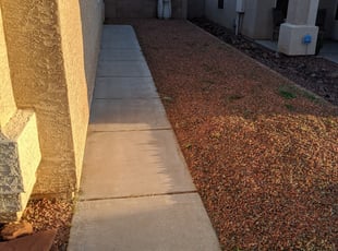 Cleanups by Joel Tapia for Jane F. in Surprise, AZ