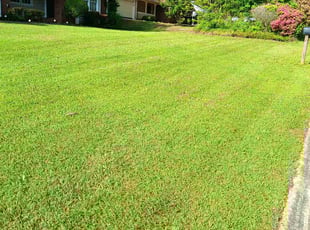Stephanie S.'s Lawn Service service result