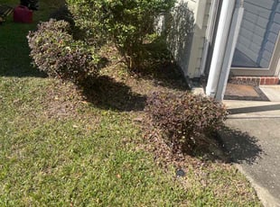 Bush Trimming by Ernso Sincere for Nick D. in Tallahassee, FL