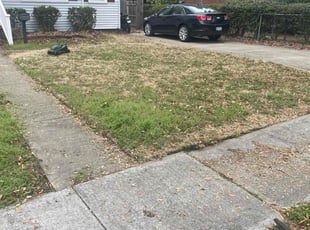 Bush Trimming by Debbie Carper for Alexei M. in Norfolk, VA