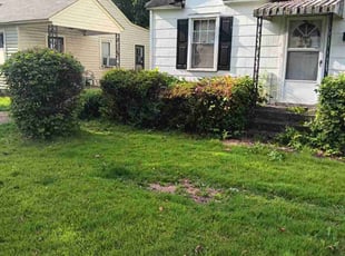 Bush Trimming by Joe Miller for Stephanie W. in Memphis, TN