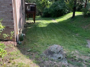 Sandy P.'s Lawn Mowing service result