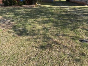 Bush Trimming by John Wooley for Will T. in Alabaster, AL