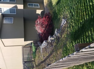 Landscaping by JOSHUA SPOTZ for Debbi R. in Liberty, MO