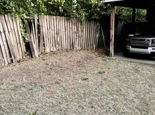 Bush Trimming by Landon Millett for Ryland C. in Nashville, TN
