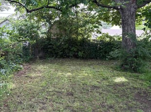 Cleanups by Anjalise Duran for Terry M. in Fort Worth, TX