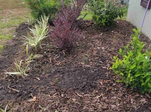 Bush Trimming by Carlos Martinez for Megan s. in Davenport, FL