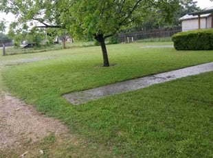 Andres V.'s Yard Cutting service result