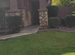 Bush Trimming by Tripler Dela Cruz for Sandi H. in Gilbert, AZ