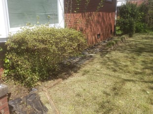 Leaf Removal by Lemmuel Hill for Deantre M. in Greensboro, NC