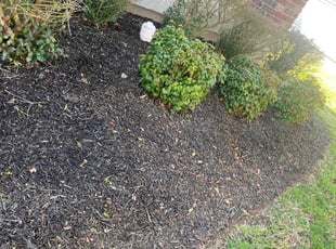Weeding by Melvin Pryor for Maddie M. in Nashville, TN