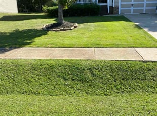 Nancy I.'s Lawn Service service result