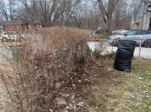 Bush Trimming by Cesar Andrade for Edward H. in Gary, IN