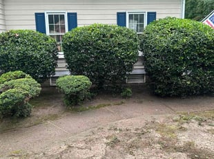 Bush Trimming by Joe Lee Jr for rebecca b. in Chesterfield, VA