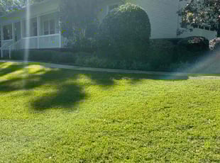 Bush Trimming by Bryan Govantes for Casey A. in Tallahassee, FL