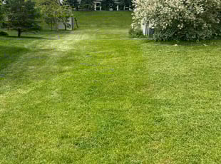 Steve J.'s Lawn Service service result
