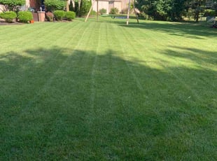 Ajai Karthick A.'s Lawn Care service result