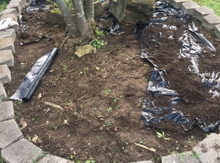 Weeding by Artemio Reyes for Meredith G. in Duncanville, TX