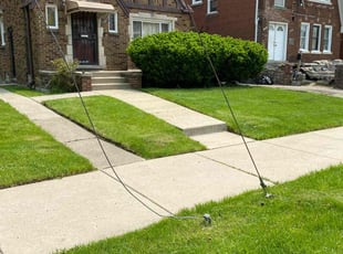 Clarence H.'s Yard Cutting service result