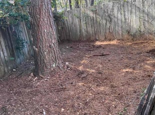 Cleanups by Kyle Jones for Jane M. in Mandeville, LA