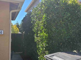 Cleanups by Juan Rodriguez for Isaac V. in Roseville, CA
