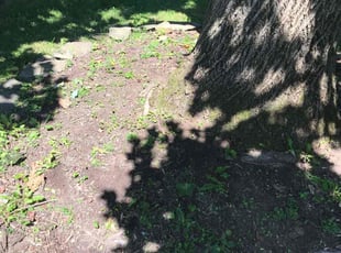 Landscaping by Jay Baker for Sophia Z. in Elyria, OH