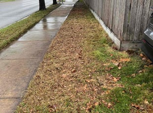 Cleanups by John Gorczynski for Joseph C. in Houston, TX