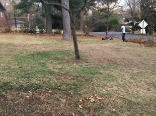 Leaf Removal by Monte Rasheed for Macy V. in Birmingham, AL