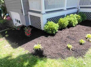 Weeding by Lawrence Tischler for Luke P. in Cincinnati, OH