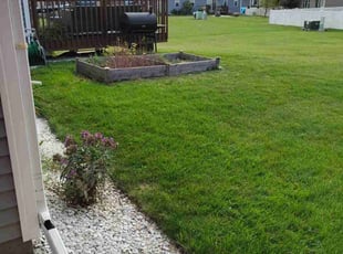 Weeding by Christopher Rhyne for Sara A. in Madison, WI