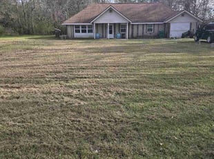 Michele C.'s Lawn Care service result