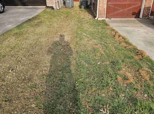 Leaf Removal by Jason Reyes for Kamisha W. in Cedar Hill, TX