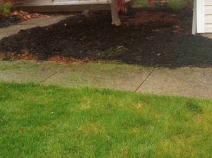 Mulching by Leann Talbert for Frank B. in Streetsboro, OH