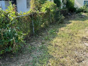 Bush Trimming by Roger Olivo for Virginia P. in San Antonio, TX