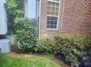 Bush Trimming by Bill Giampa for Arup B. in Falls Church, VA