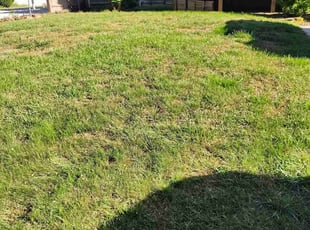 Leaf Removal by Brian Greene's for Eric G. in Asheville, NC
