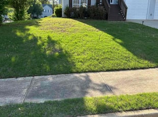 Bush Trimming by Jason Hembree for Monique T. in Douglasville, GA