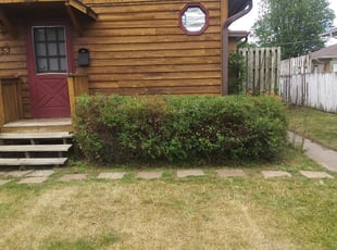Bush Trimming by David Gallaway for Laura P. in Saint Paul, MN
