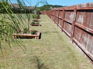 Katrina H.'s Lawn Care service result