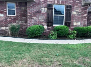 Bush Trimming by James Doss for Jeremy S. in Fayetteville, AR