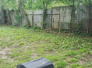 Bush Trimming by Cameron Cox for John S. in Independence, MO