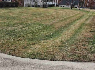 Leaf Removal by Marie Torres for Sandra A. in High Point, NC