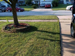 Jennifer C.'s Lawn Care service result