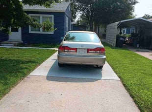 Ann M.'s Yard Cutting service result