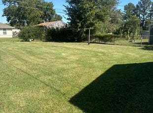 Kasi P.'s Lawn Mowing service result