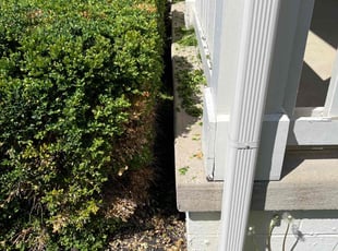 Bush Trimming by Alisha Lawson for Jason C. in Hilliard, OH