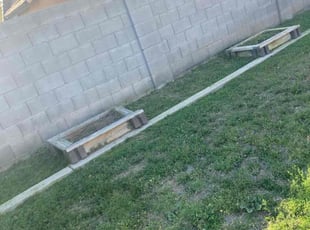 Weeding by Anthany Eisweirth for Juanakee H. in Peoria, AZ